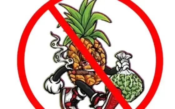 No Smoking / Vaping: Why?