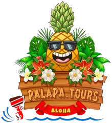 Palapa Tours