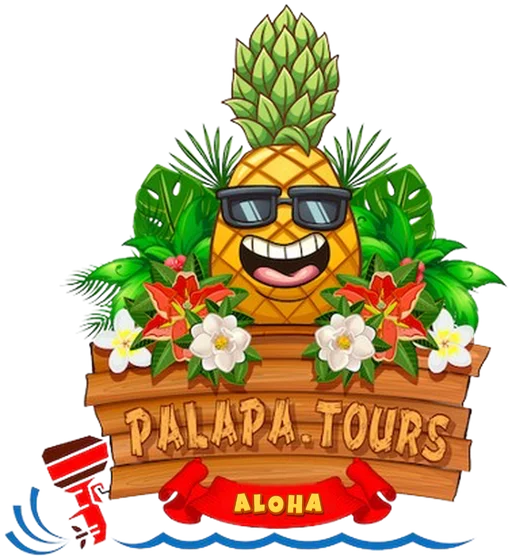 Palapa Tours: Aloha